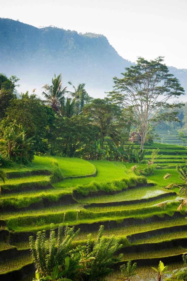 Bali, Indonesia